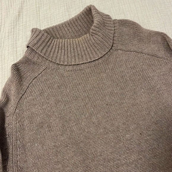 Oversized Turtleneck from Aritzia - Picture 2 of 4